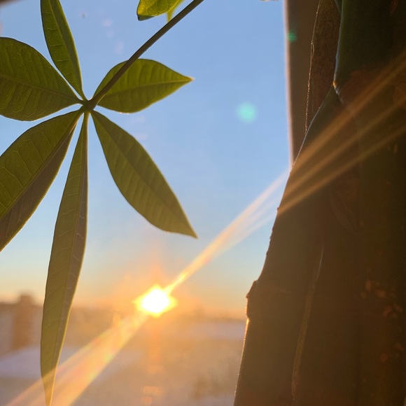 Meet your Posher, Simone - Picture 1 of 1